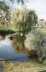 Queen's Head pond