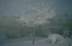Winter morning