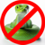 No snakes